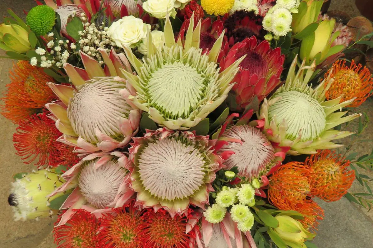 Flowers Suitable for Father's Day
