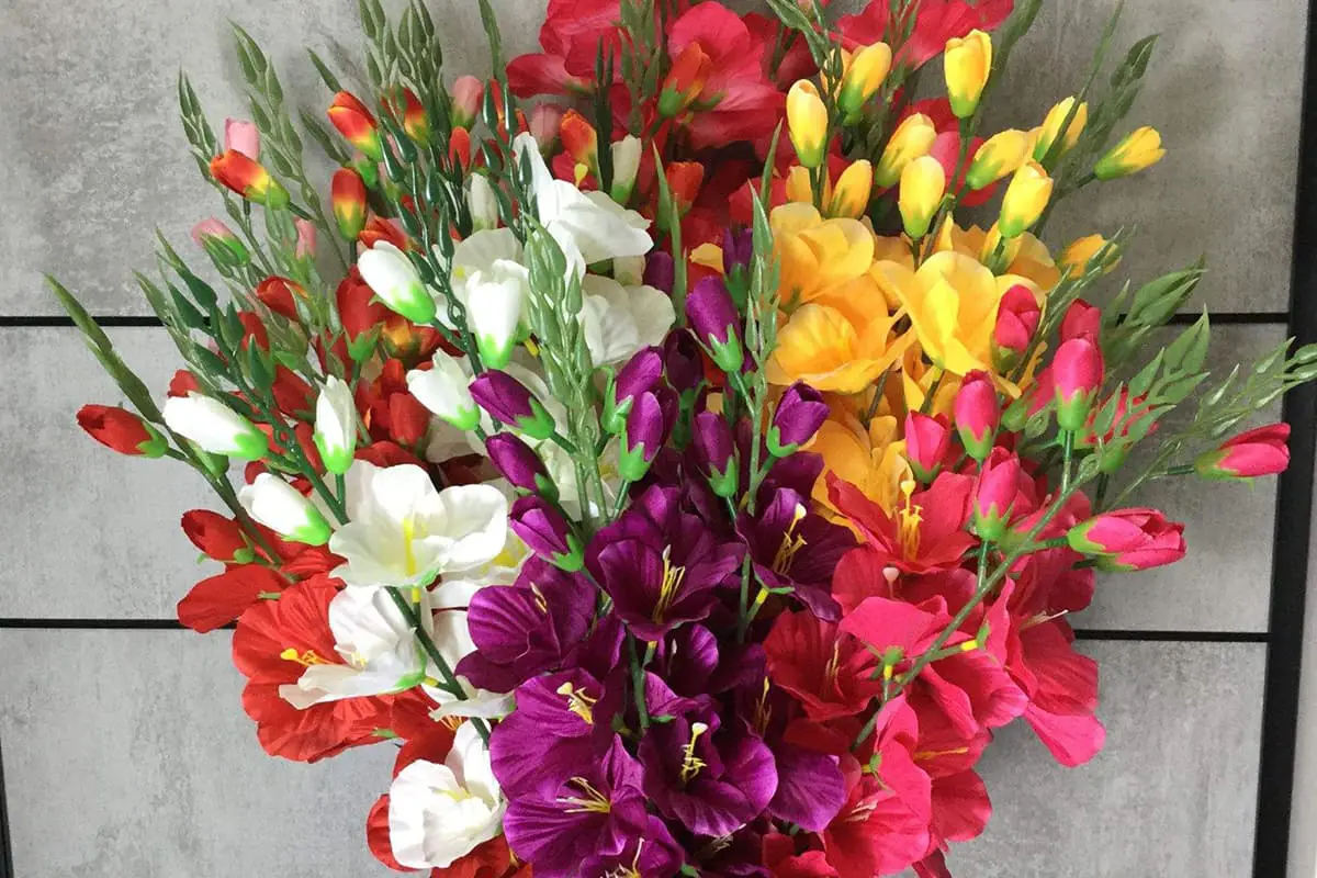 Flowers Suitable for Father's Day