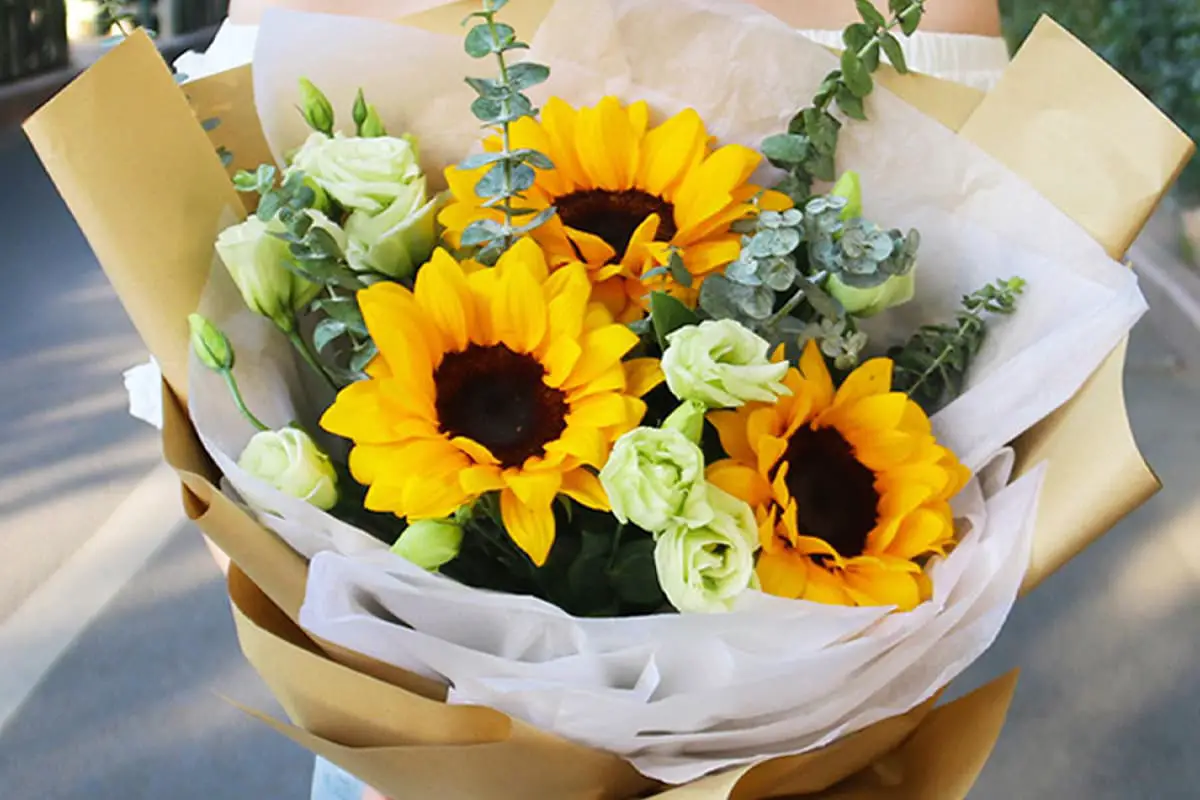 Flowers Suitable for Father's Day