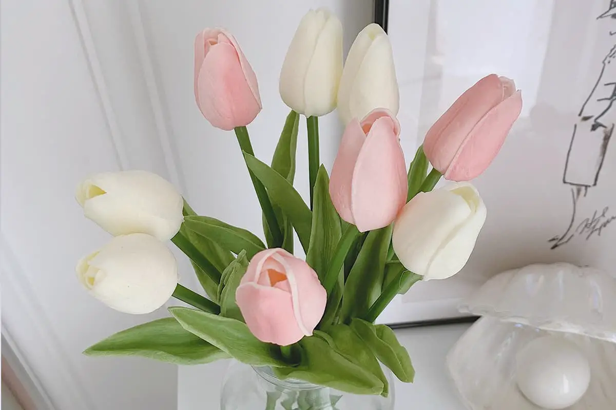 17-kinds-of-flowers-suitable-for-mother-s-birthday-flowerslib