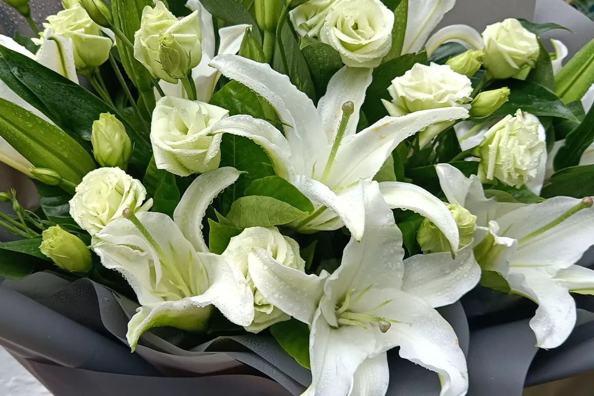 Flowers Suitable for Father's Day