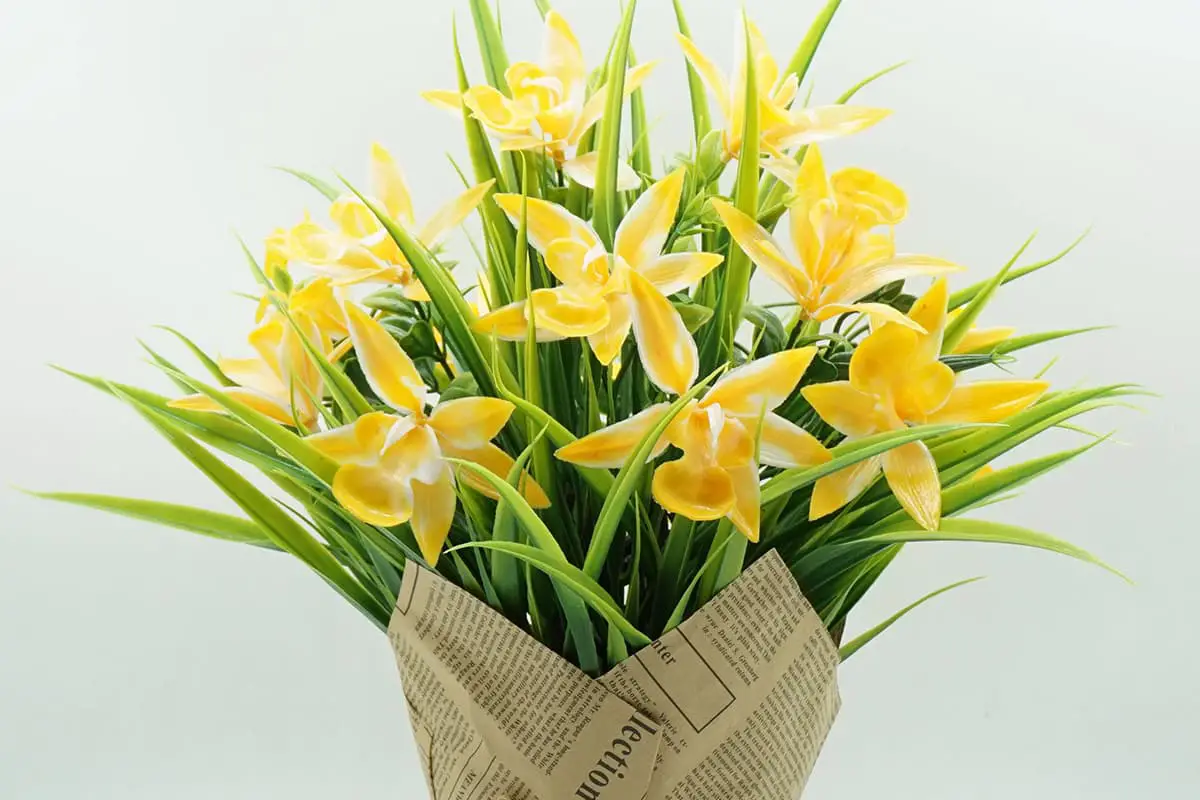 Flowers Suitable for Mother’s Birthday