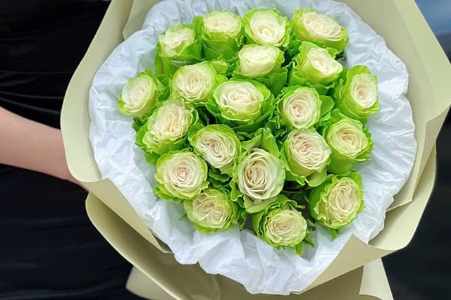 Green Lemon Rose