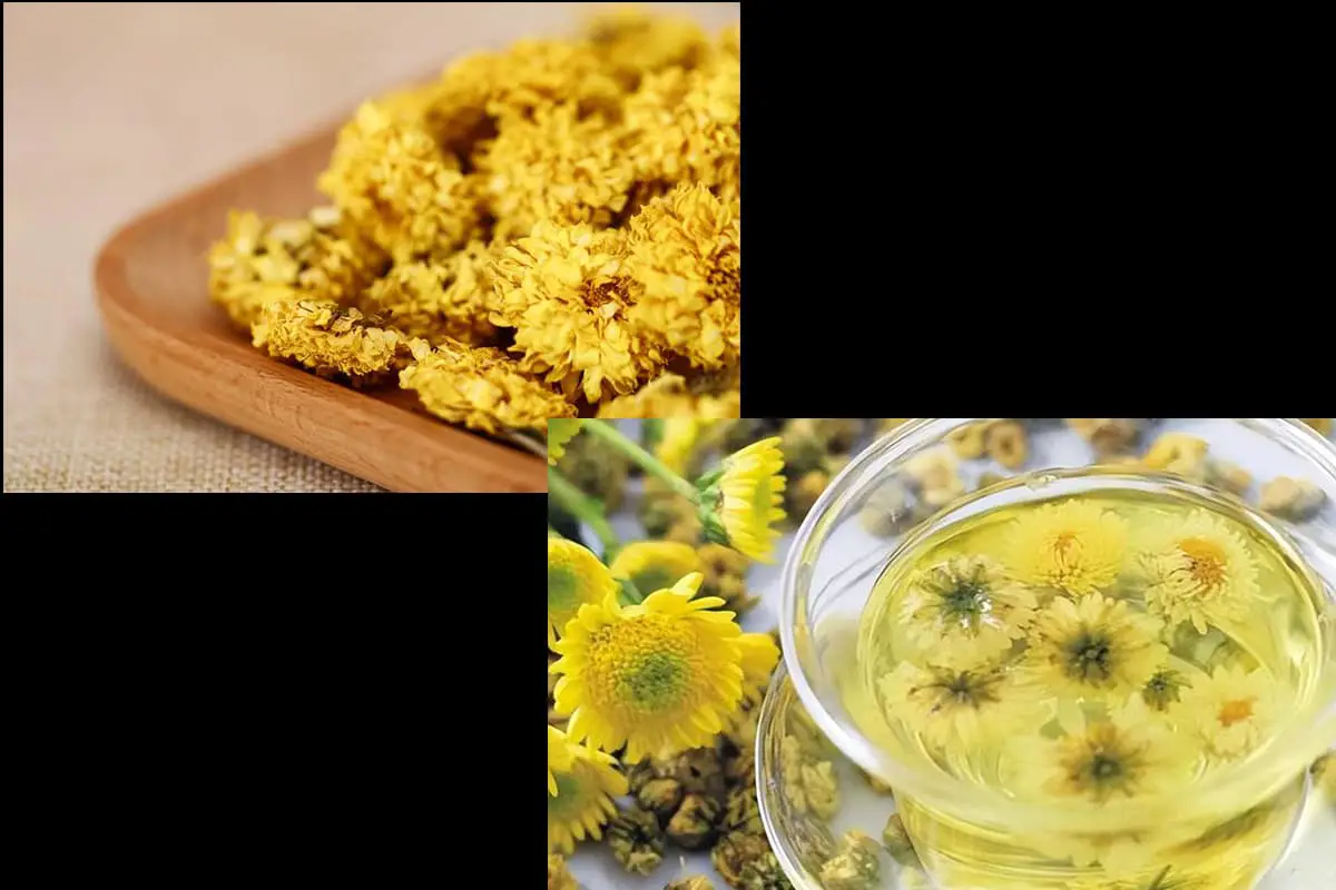 Fleurs pour la préparation du thé
